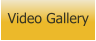 Video Gallery