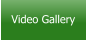 Video Gallery